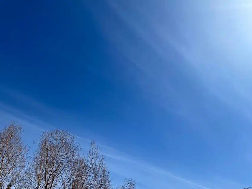 IMG_2341.jpeg_resize