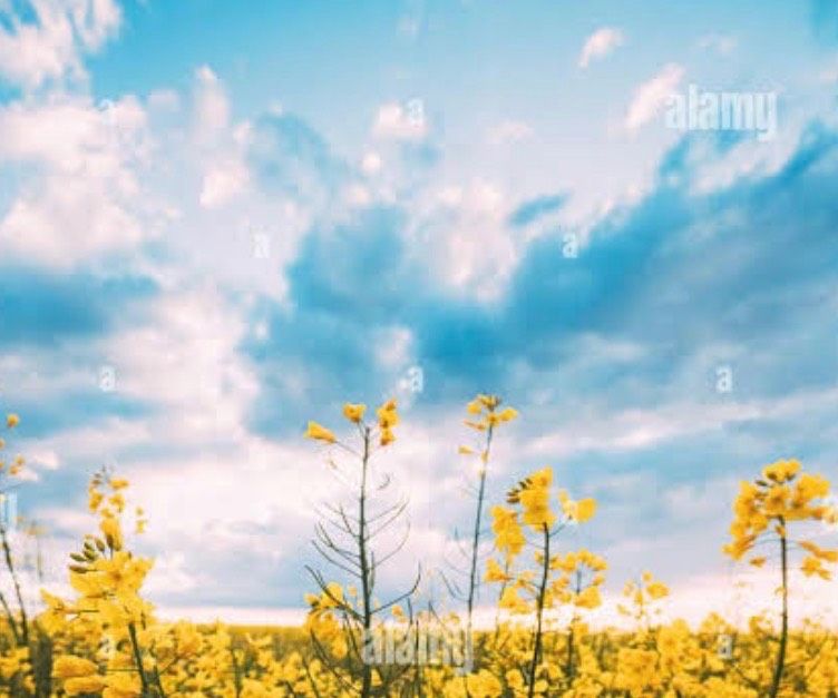 IMG_0166.jpeg_resize