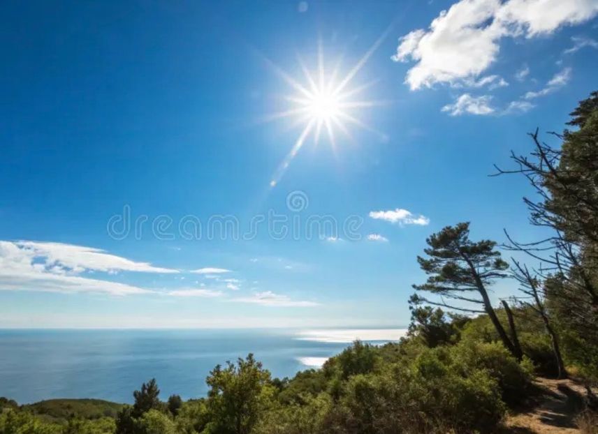 IMG_0167.jpeg_resize