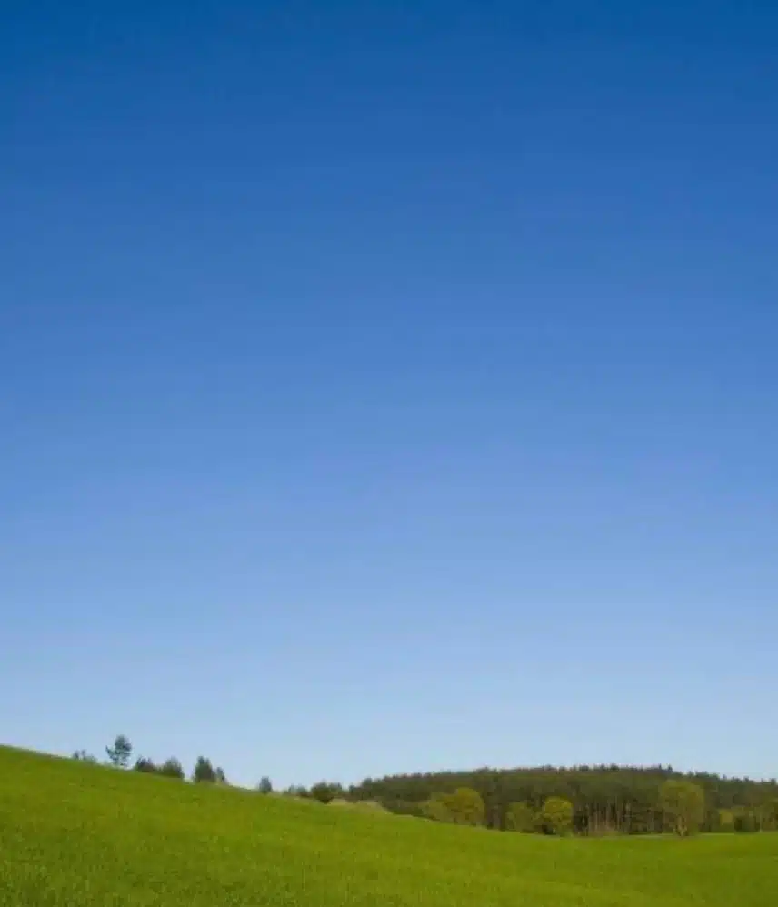 IMG_0163.jpeg_resize