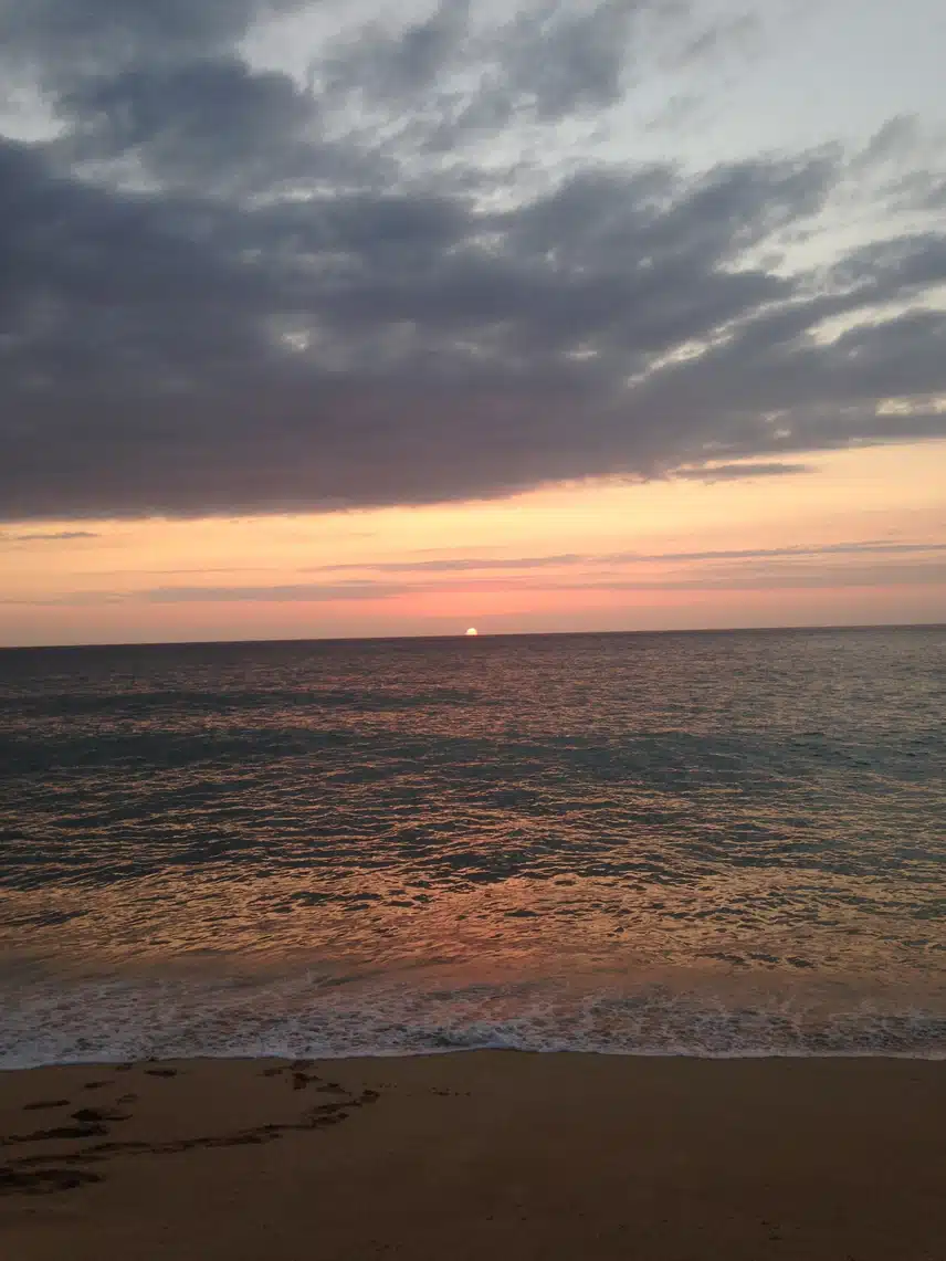 IMG_0751.jpeg_resize