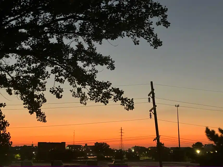 IMG_3554.jpeg_resize