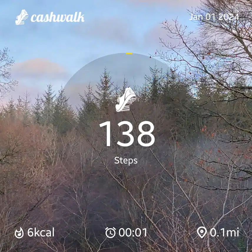 CashWalk_share_capture_20240101_a031e7b1-c5c5-408e-a543-cc1bd6ff