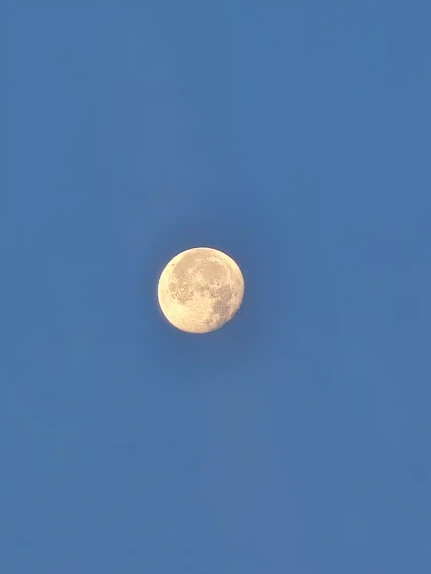 1000018026.jpg_resize