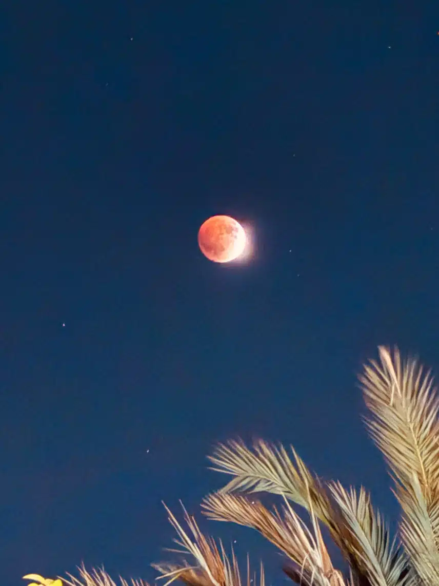 IMG_7259.jpeg_resize
