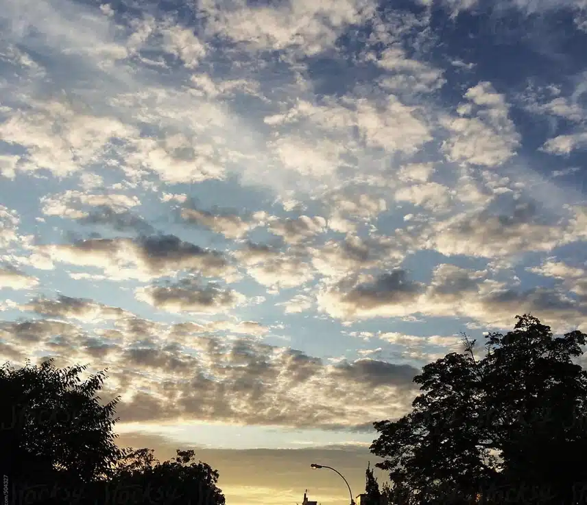 IMG_9902.jpeg_resize