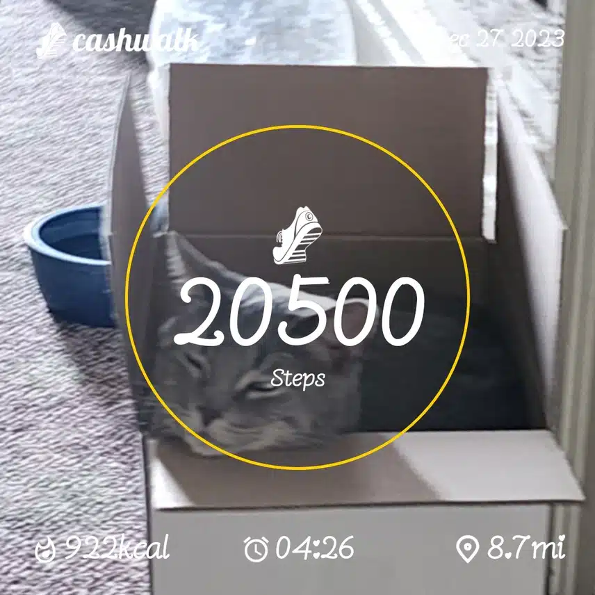 CashWalk_share_capture_20231227_f1682872-27f0-4f30-b52e-235fad1f