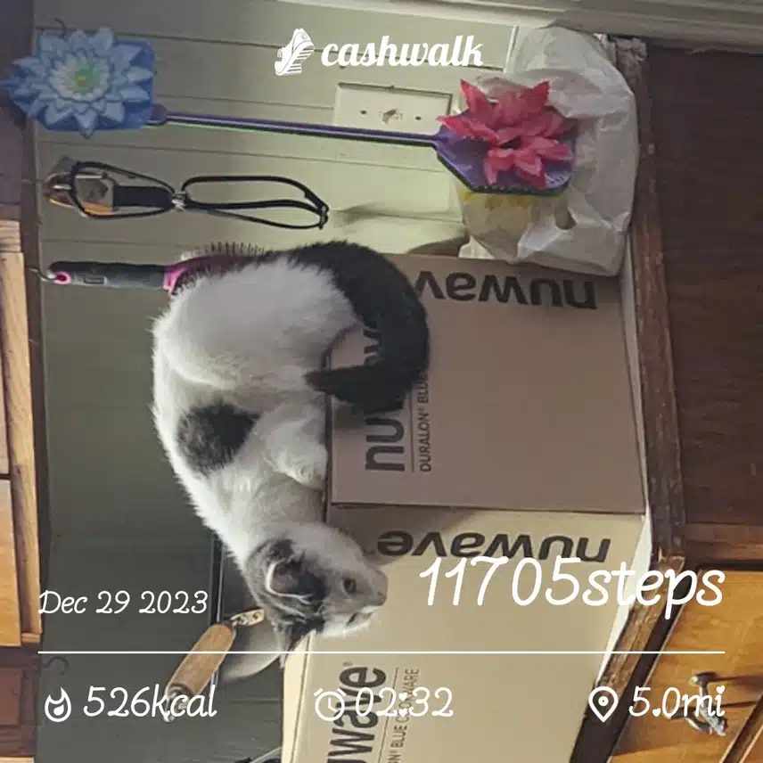 CashWalk_share_capture_20231229_a7d83f3a-6b86-4e96-a888-ba612625