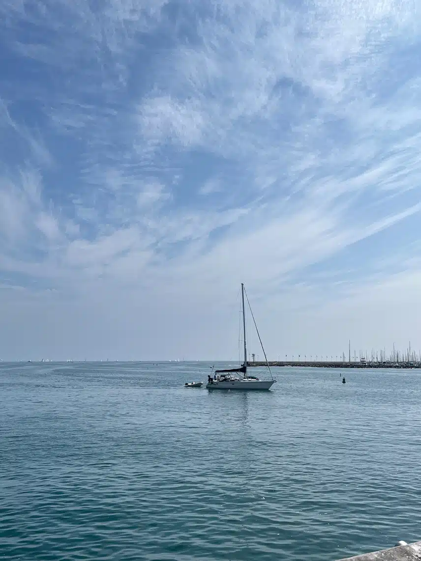 IMG_2025.jpg