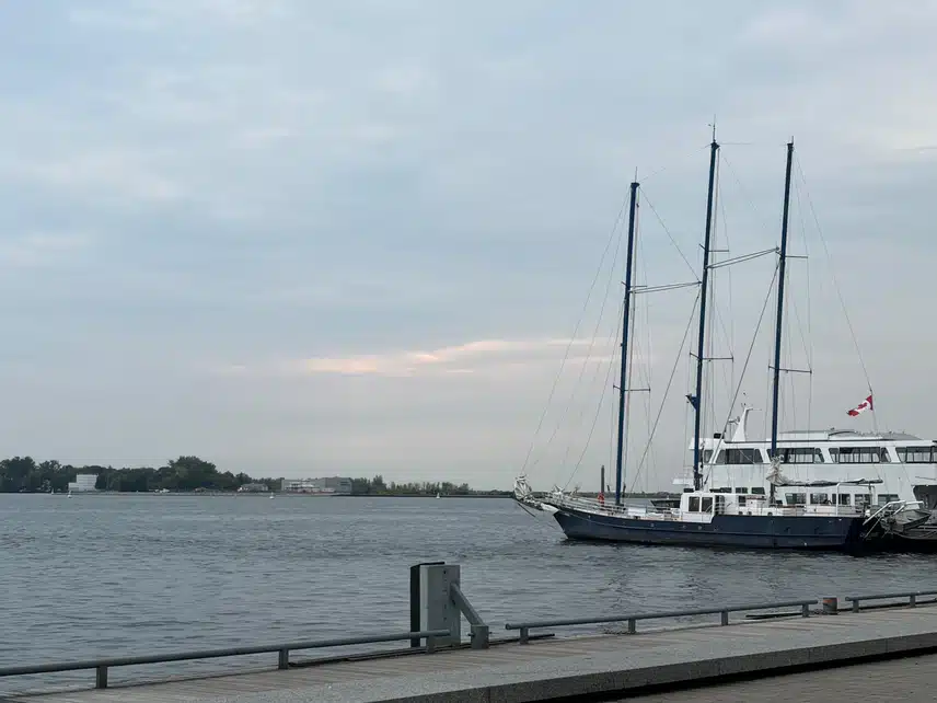IMG_6275.jpg