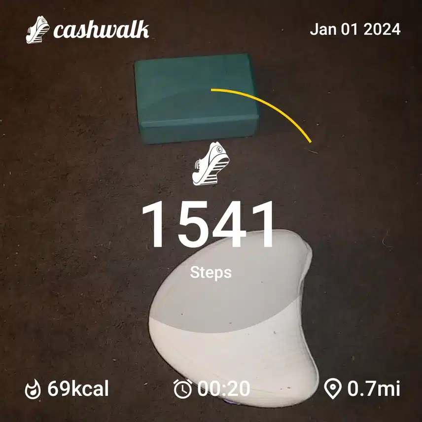 CashWalk_share_capture_20240101_09423d70-797e-4834-9106-78d8c695
