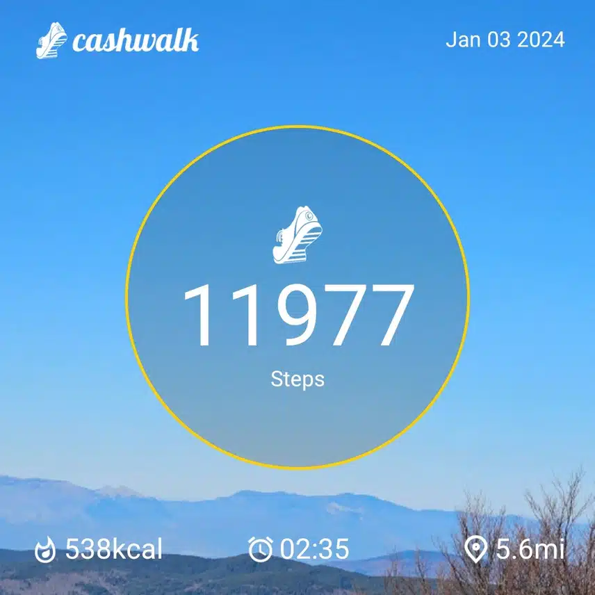 1000032312.jpg_resize