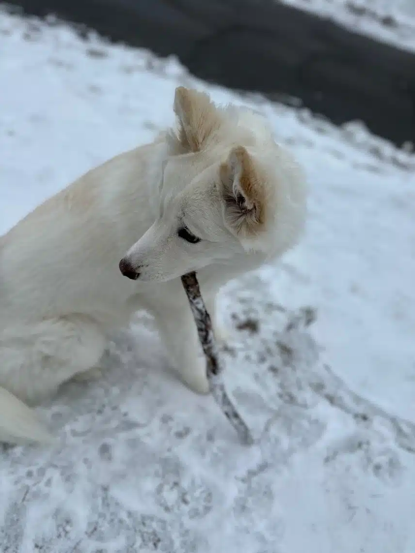 IMG_5369.jpeg_resize