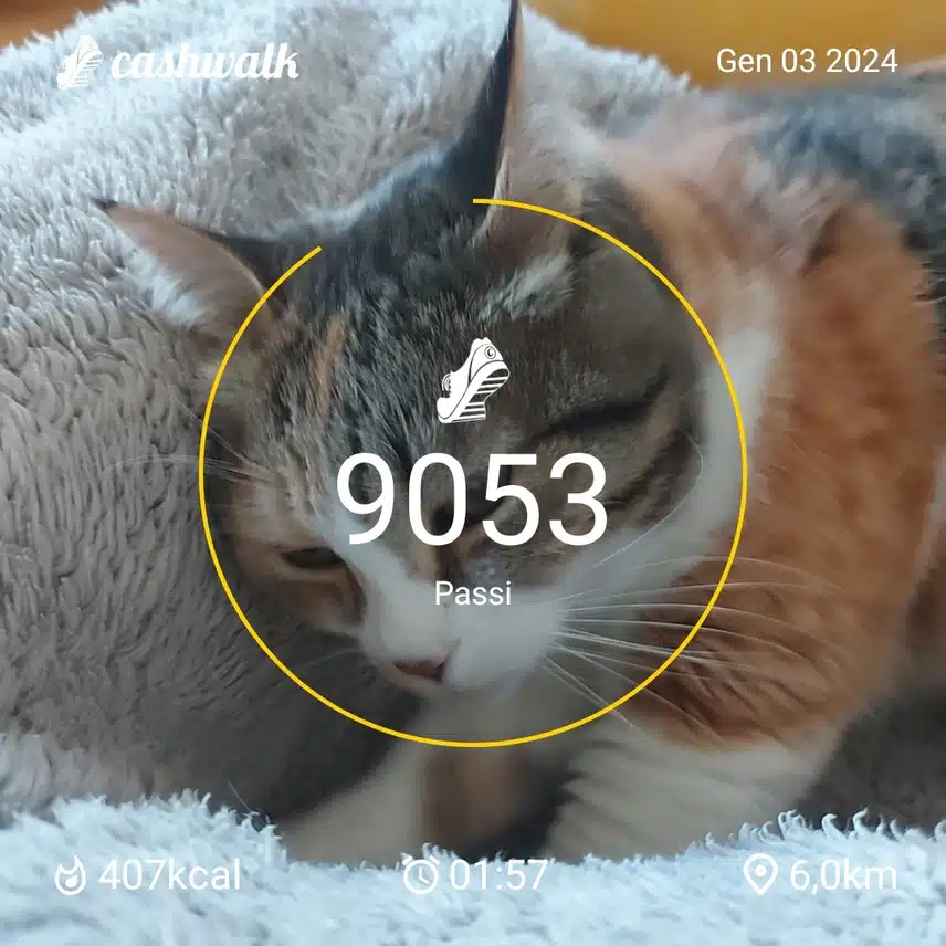 1000033907.jpg_resize