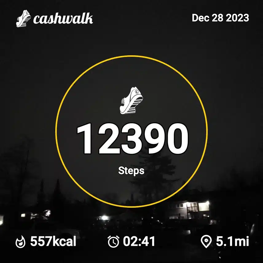CashWalk_share_capture_20231228_8c8d2626-cd6c-4ed9-b8c2-5f6db051