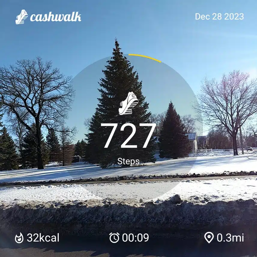 CashWalk_share_capture_20231228_9a166040-d3eb-411f-af13-45fca138