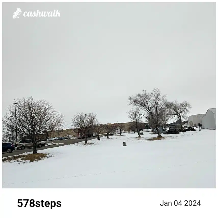 CashWalk_share_capture_20240104_0752f23a-8082-4d7c-ad95-45450c80