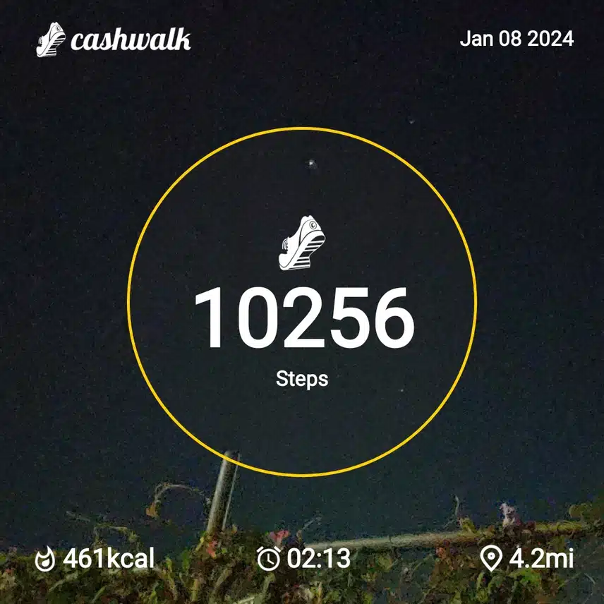 CashWalk_share_capture_20240108_4df028e0-f2f6-4635-a105-722f7640