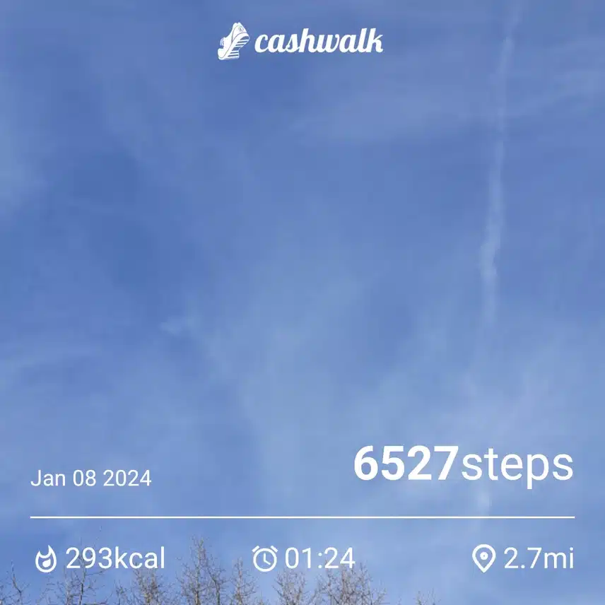 1000004741.jpg_resize