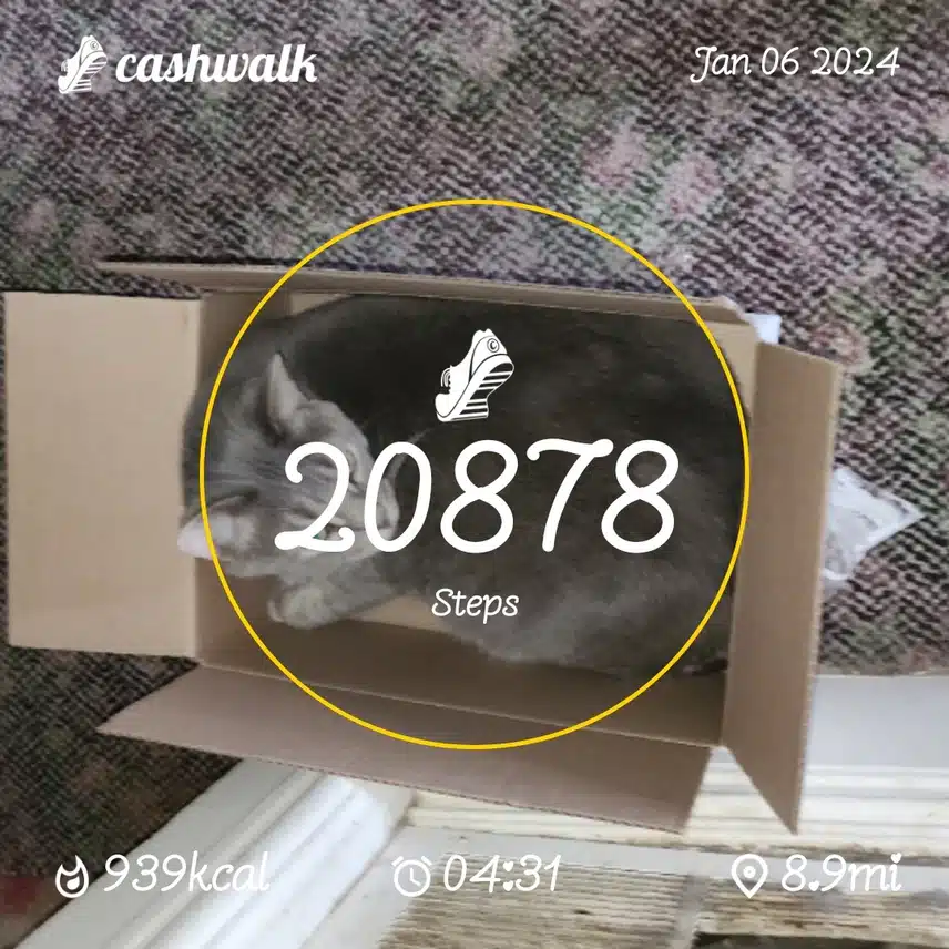 CashWalk_share_capture_20240106_13c0db51-d05d-4493-a8e8-c51470e2