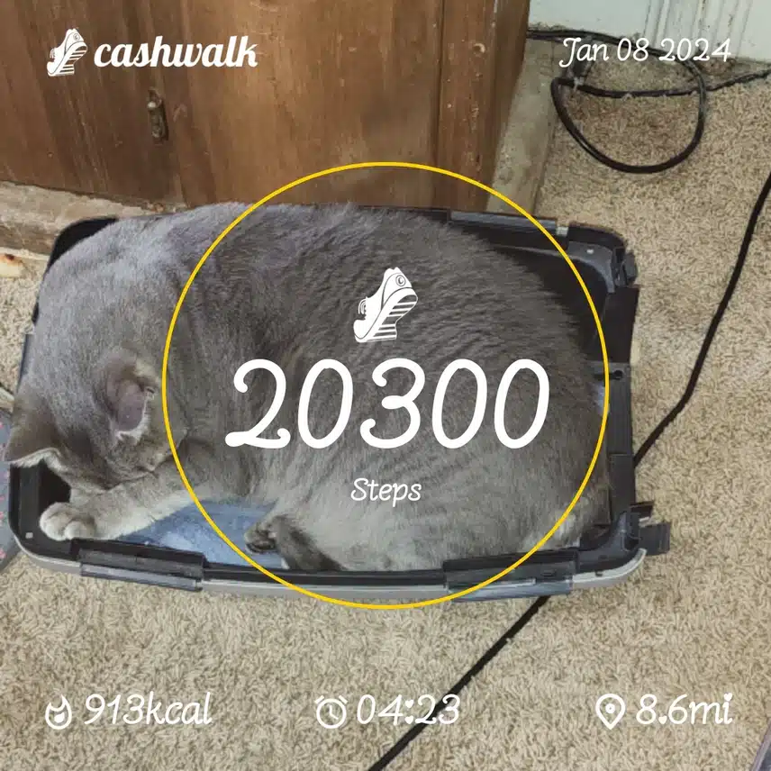 CashWalk_share_capture_20240108_c9768399-588d-46e3-aba7-6006699c