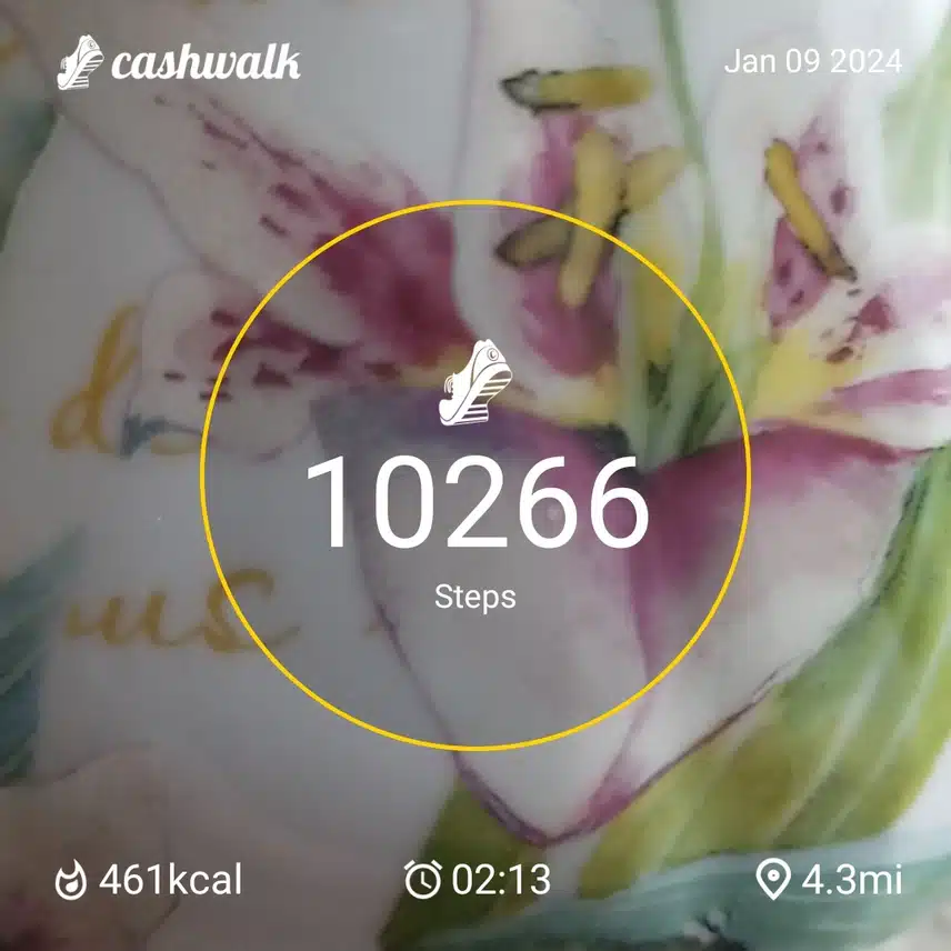 CashWalk_share_capture_20240109_c755b34a-1250-4c34-b5c9-97fc994b