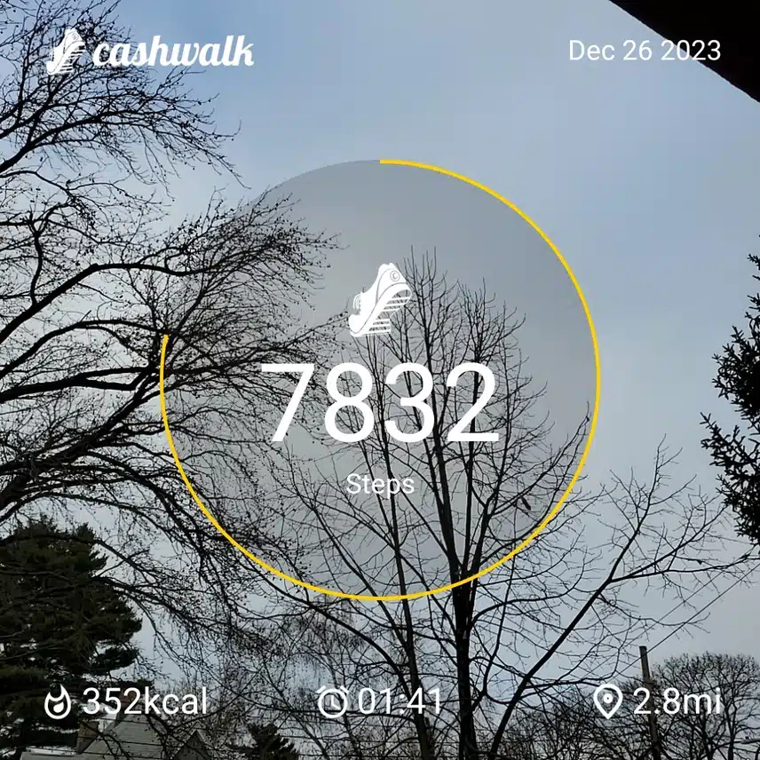 CashWalk_share_capture_20231226_e78a8aa5-4f27-46dd-b5e8-fb71e997