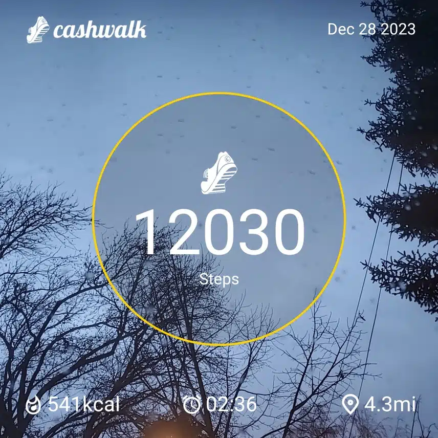 CashWalk_share_capture_20231228_f64e4c4a-a0b1-4e87-a436-db89d918