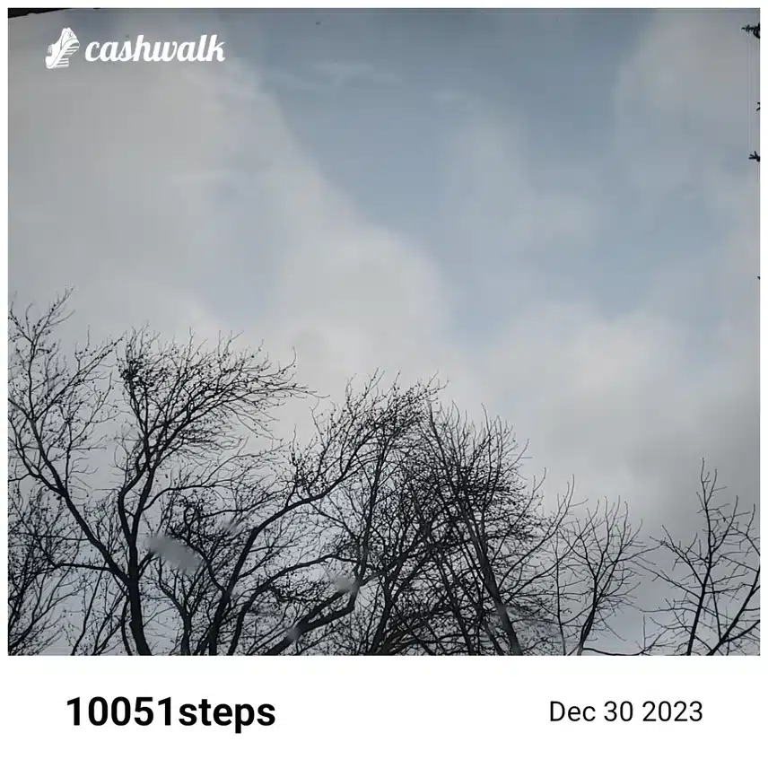 CashWalk_share_capture_20231230_77f5dc97-2571-45cd-be17-53e40b7c