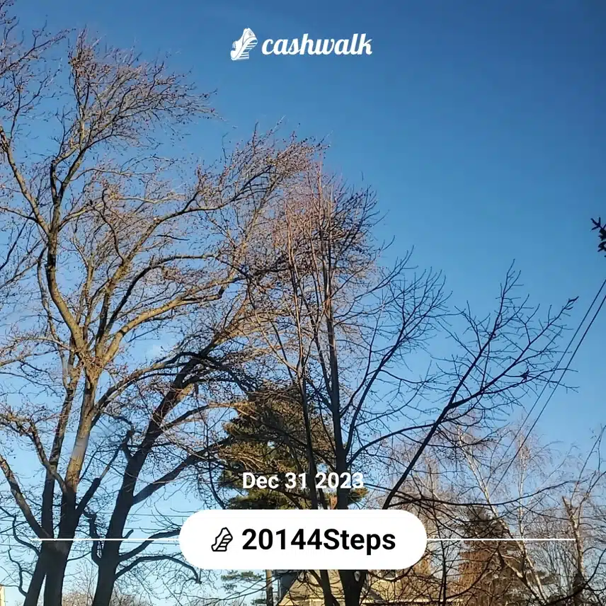 CashWalk_share_capture_20231231_0d2de858-31b0-4681-b590-aa10f5f2