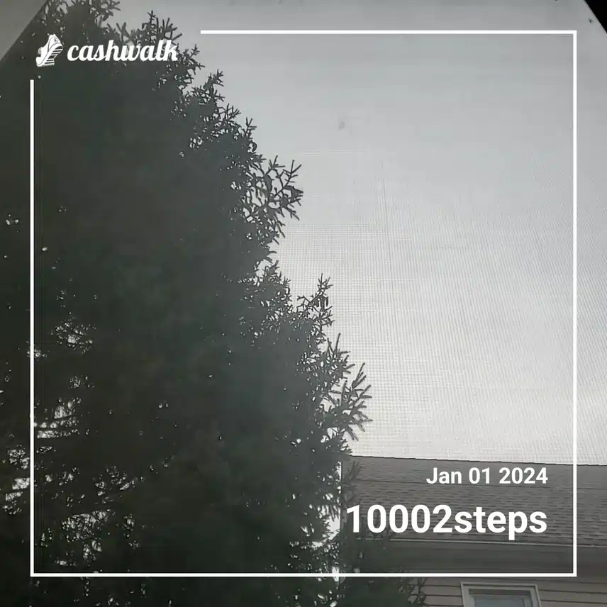 CashWalk_share_capture_20240101_4c73f76e-d732-4fe1-8714-ac50aecf