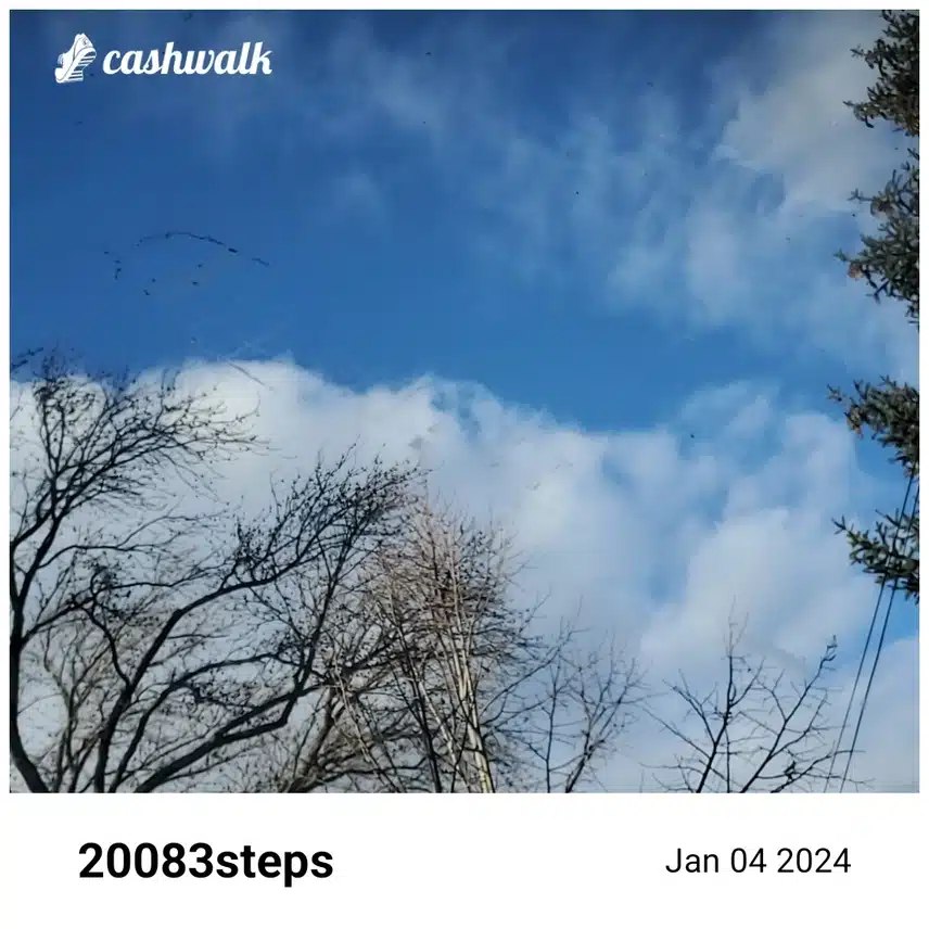 CashWalk_share_capture_20240104_7a092a7e-afce-474f-bfcc-813ff58e