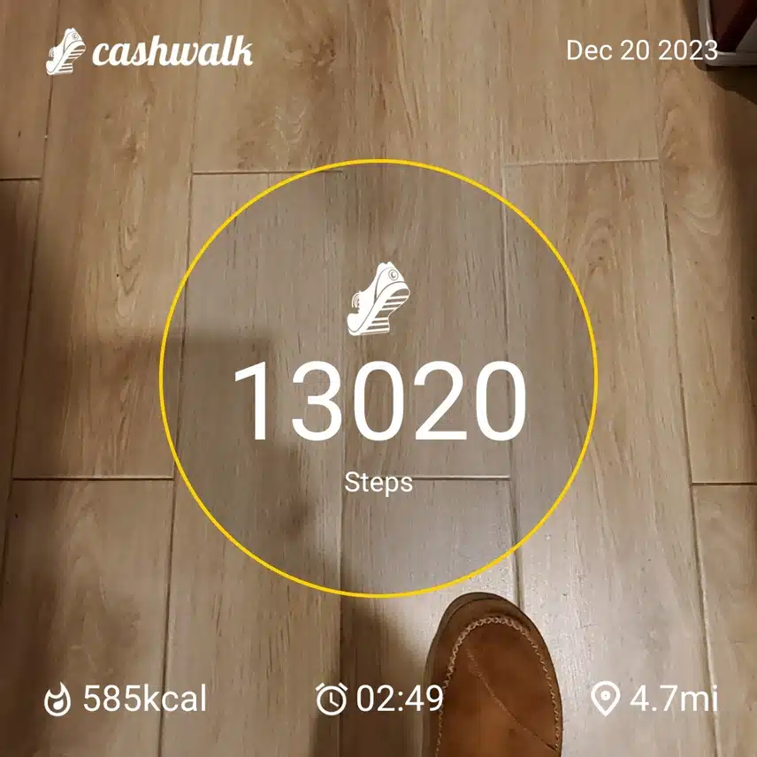 CashWalk_share_capture_20231220_9f5e10f7-3d2a-49f9-877a-2a9604da