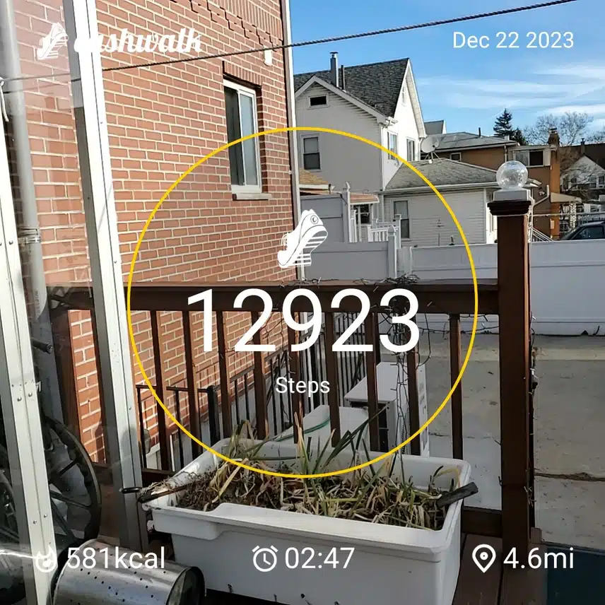 CashWalk_share_capture_20231222_d2b63e97-093e-4b18-98b4-869fe6ac