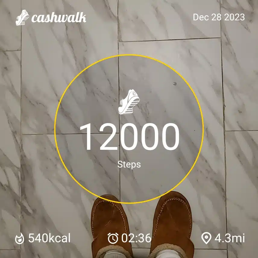CashWalk_share_capture_20231228_716c104f-38a0-4599-a3d9-4e1c94d6