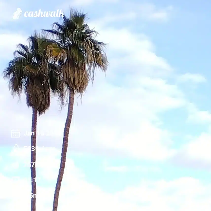 CashWalk_share_capture_20240110_79d2ca4e-9b55-4115-b5fc-ea2fb576