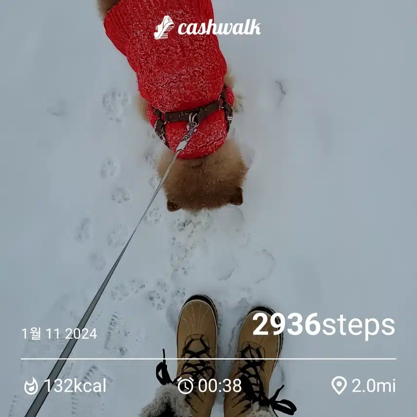 CashWalk_share_capture_20240111_16cd7ef1-d040-4be4-83d6-15269121