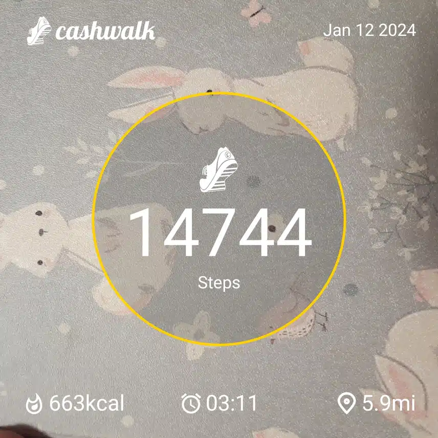 CashWalk_share_capture_20240112_6756f7cc-4e00-4e9c-9200-de3604d1