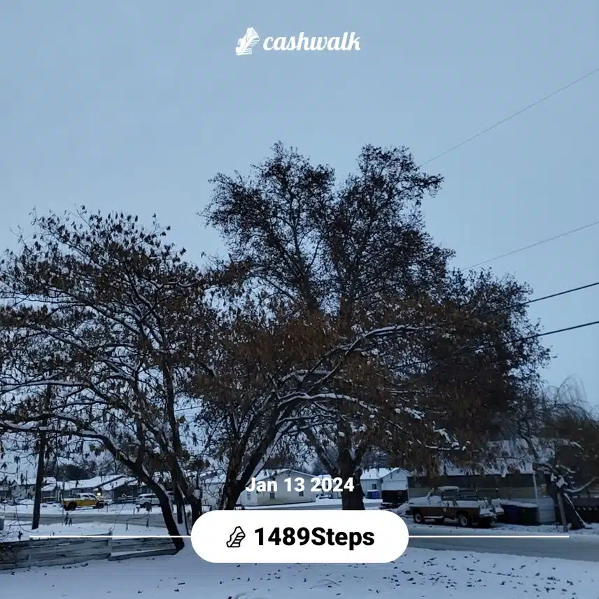CashWalk_share_capture_20240113_69d62cb2-c1d3-4256-9a58-c94f505b