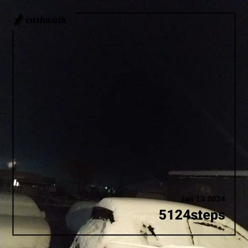CashWalk_share_capture_20240113_a462e143-d3a6-4031-bf12-83395b4d