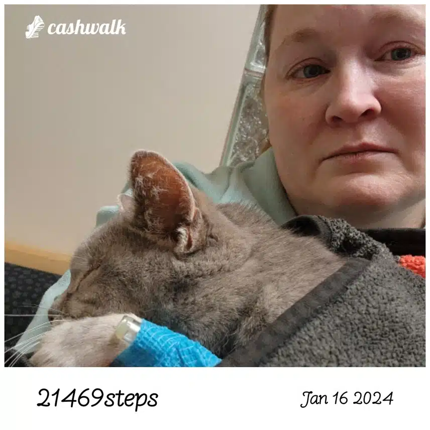 CashWalk_share_capture_20240116_835a6455-9f29-4af3-91e6-5e3b5c59