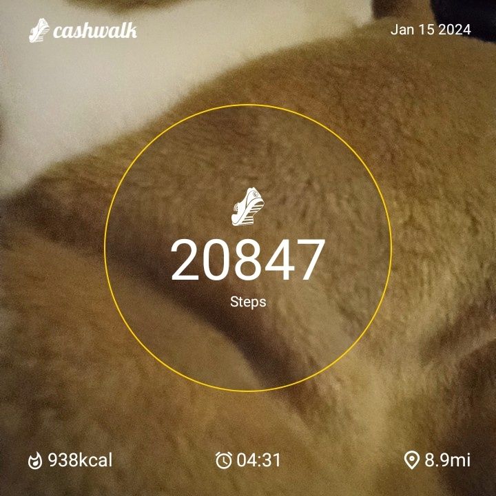 CashWalk_share_capture_20240115_40f94b2f-21d2-46f9-aaae-57bb3761