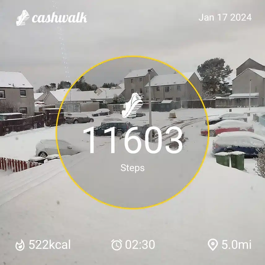 CashWalk_share_capture_20240117_c848c202-5973-4ac2-bf9e-c856ca18
