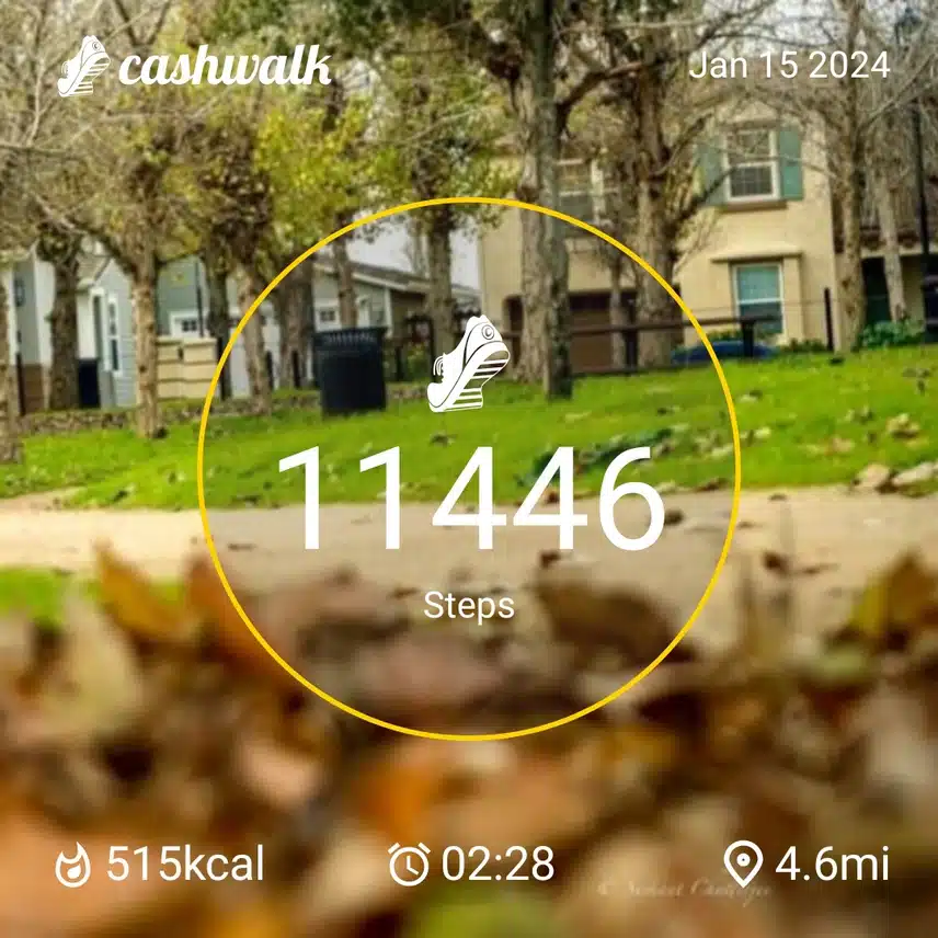 1000013231.jpg_resize