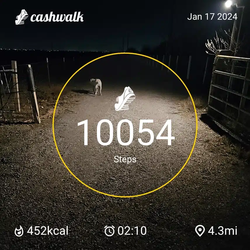 CashWalk_share_capture_20240117_5ada364b-462d-4adf-afba-028dda75