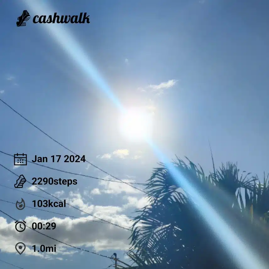 1000002311.jpg_resize
