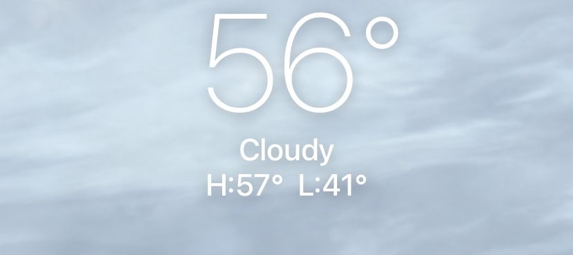 IMG_0479.jpeg_resize