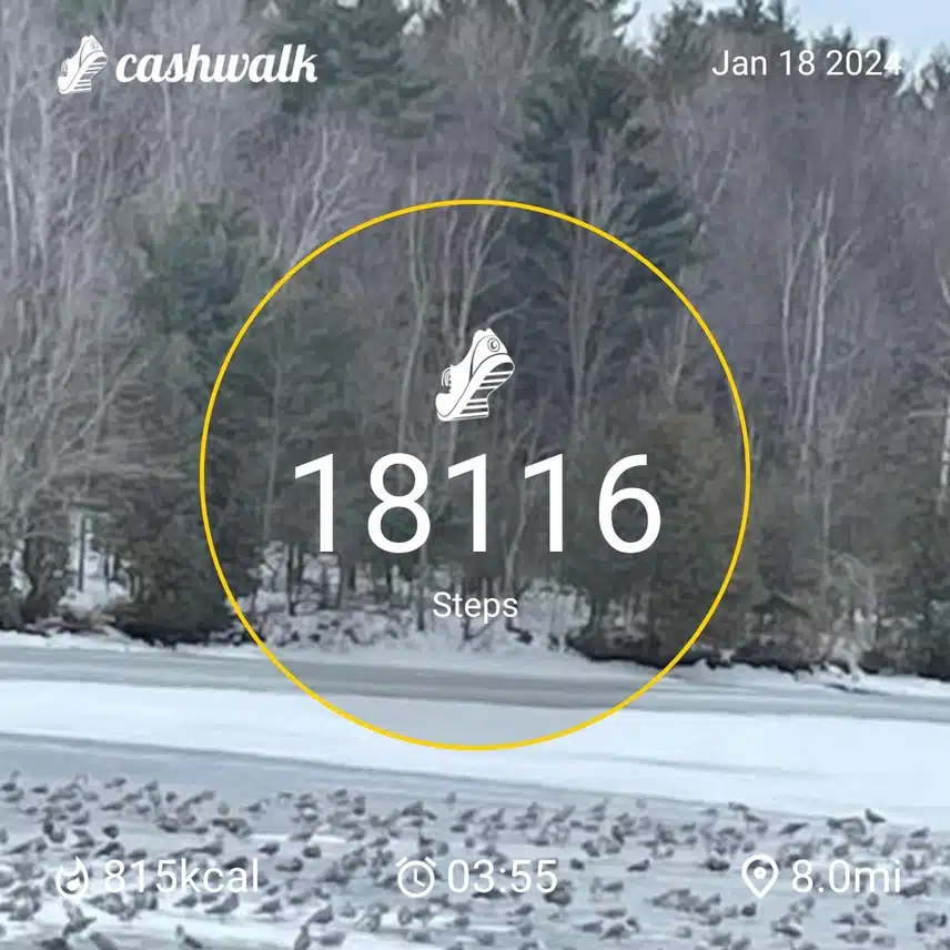 CashWalk_share_capture_20240118_9addf211-2907-4a4f-83af-c11e4b05