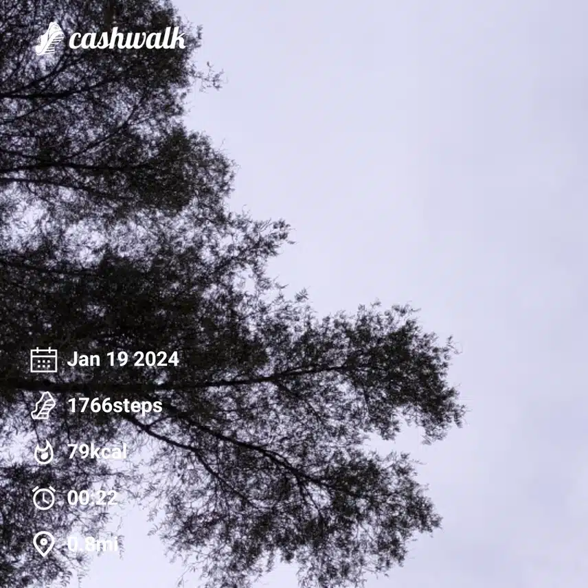 1000003541.jpg_resize