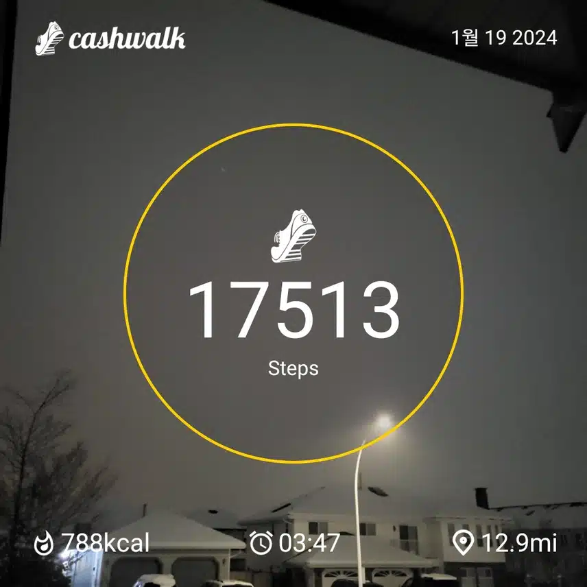 CashWalk_share_capture_20240119_adb10870-47a4-4208-9fae-3b16a2bc